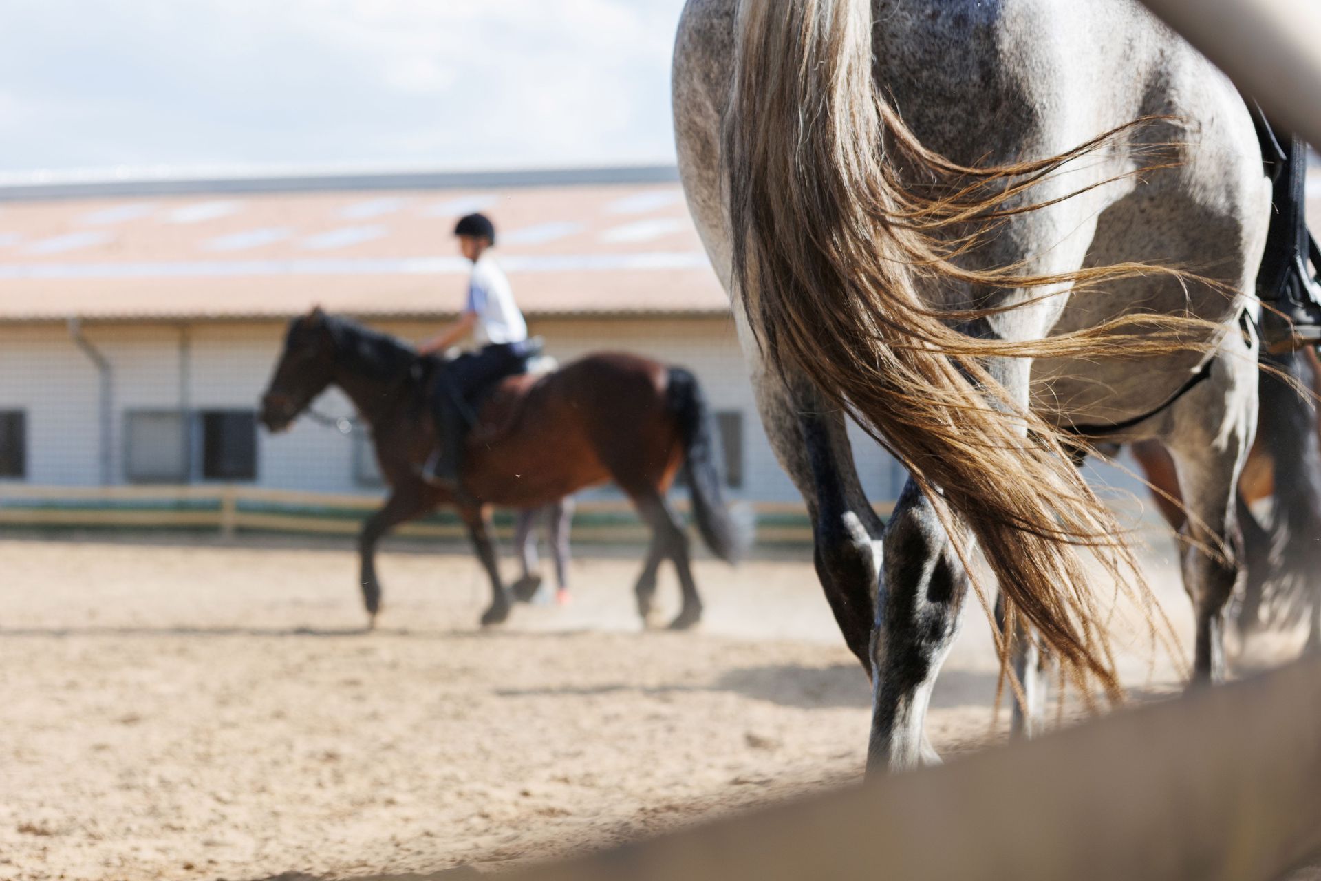 Odoo • Texte et Image